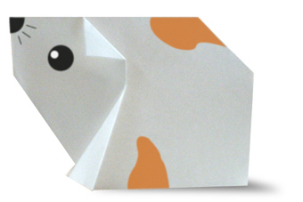 Origami Origami